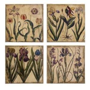  IMAX Set Of Four Flower Study Wall Decor Plaques