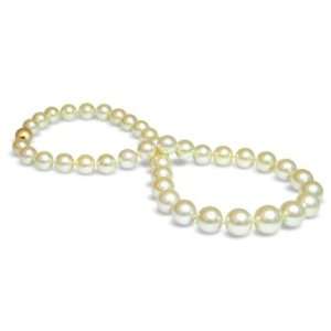 10 x 12.8mm cream color Australian south sea cultured pearl necklace 