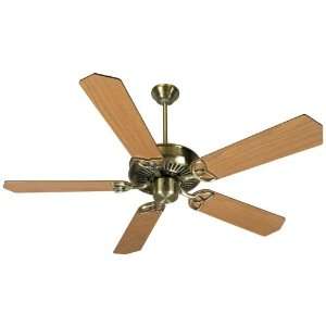   Blade Options Five Blade Energy Star Ceiling Fan with Custom Blade