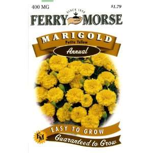   Annual Flower Seeds 1085 Marigold   Petite Yellow 400 Milligram Packet