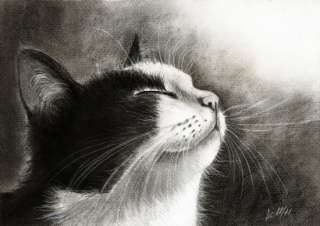 Charcoal Drawing Tuxedo Cat Kitten schwarzweiße Katze Chat Art 