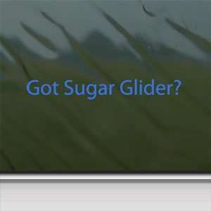  Got Sugar Glider? Blue Decal Animal House Pet Car Blue 