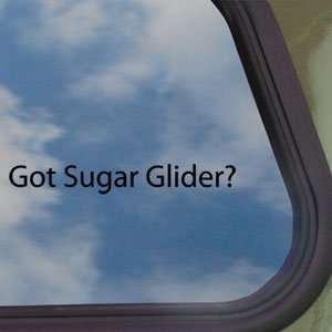  Got Sugar Glider? Black Decal Animal House Pet Car Sticker 