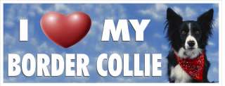 LOVE MY BORDER COLLIE PET DOG BUMPER STICKER #3060  