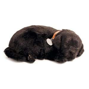  Perfect Petzzz Huggable Black Lab Puppy Toys & Games