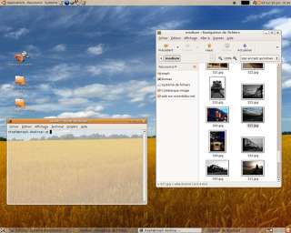 Linux XP 2012 *#1 Windows OS* +BONUS Ubuntu *2CDs*  