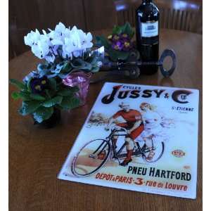  Jussy Tandem Bicycle Glass Cutting Board 