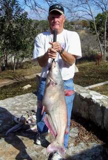 Quart J Pigg Stink Bait Catfish Bait Fishing Lure  