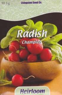 Champion Radish Seeds   5 grams   Heirloom  