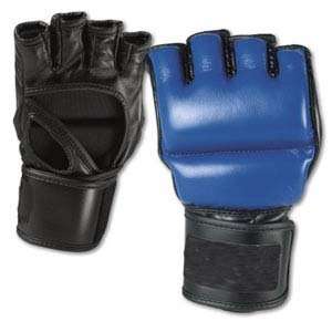  Century Silver MMA Gloves