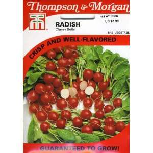  Thompson & Morgan 540 Radish Cherry Belle Seed Packet 