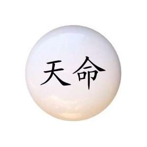 Destiny Chinese Lettering Symbol Drawer Pull Knob