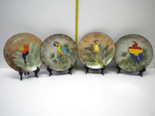 Piece Macaw Decorative Display Plates Tropical Parrot  