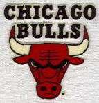 Chicago Bulls 3 inch Lextra Iron On Logo Patch  