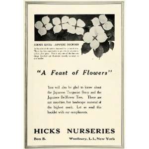  1920 Ad Cornus Kousa Japanese Dogwood Flower Hicks 