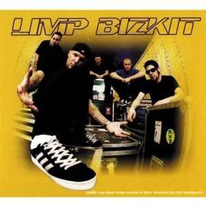 Limp Bizkit   Group Photo   Decal   Sticker