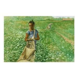  Girl in Cotton Field Giclee Poster Print by Robert Casilla 