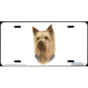    Dog Art License Plate by Robert J May from Airstrike Automotive