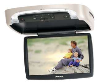   Overhead Monitor with Integrated DVD Player (Pewter)