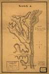 Map of Fort Henry, Tennessee, and environs]. Pitzman 