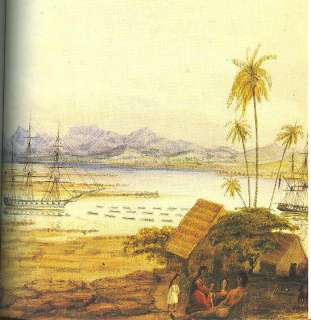   Advertiser STAMP & POSTAL HISTORY of HAWAII~Book Set w Slipcase  
