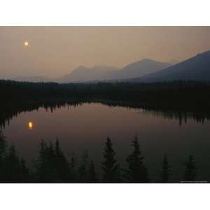  Sun and Evergreen Trees Casting Reflections in Water at 