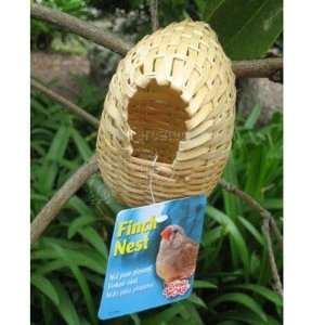  Bamboo Nest Finch Small