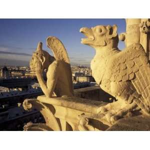  Gargoyles of the Notre Dame Cathedral, Paris, France 