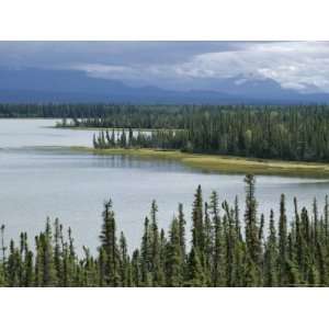 Muskeg, Tundra Wetland, with Lakes and Pine Forest 