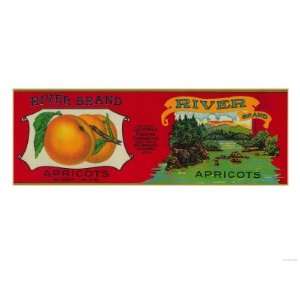  River Apricot Label   San Francisco, CA Giclee Poster 