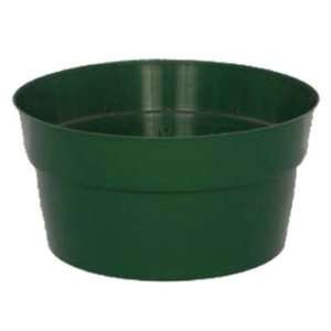  12.00 Pan Bulb Green Dillen 58/cs Patio, Lawn & Garden