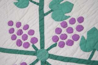 30s Marthas Vineyard Grapevine Applique Antique Quilt  