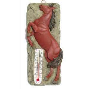  Horse Thermometer