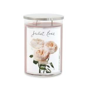  Nest Fragrance Project Art 22oz Candle   Juliet Rose