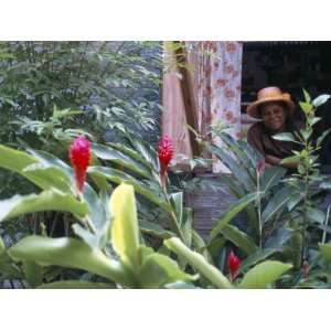 Traditional Creole House, Island of Mahe, Seychelles, Indian Ocean 