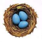mrs grossman s extraordin ary birds nest eggs stickers $ 1 52 10 % off 