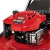 Briggs & Stratton® ReadyStart™ Engine   No need to choke or prime 