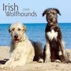 Celtic Pennsylvania Irish Gifts   Irish Wolfhound Gifts