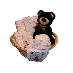  Mr. Bear Premature Baby Gift Basket for Boy Everything 