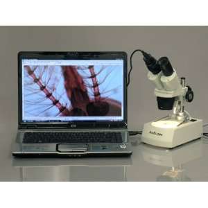 AmScope 10X 20X 30X 60X Stereo Microscope w Two Lights + USB Camera 