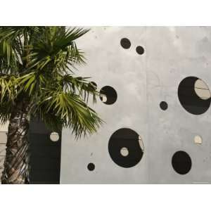  Palm Tree and Abstract Wall, Marin, California Stretched 
