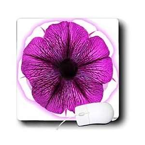   Hogge Jr Flowers   Purple and White Petunia   Mouse Pads Electronics