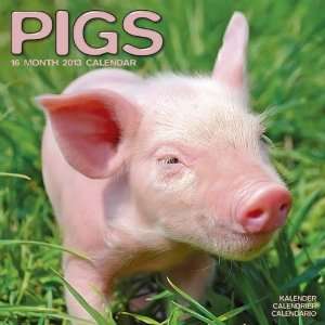  Pigs 2013 Wall Calendar 12 X 12