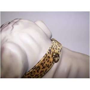  Jungle Queen 3/4in Dog Collar 141 Leopard 12in Pet 