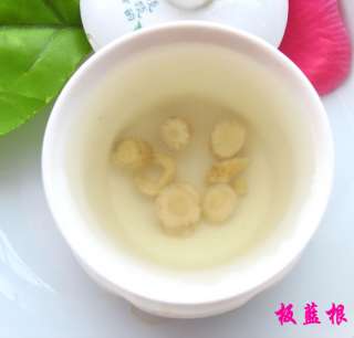 lb,Ban Lan Gen Tea,Isatis root,Panlanken,China Herbal  