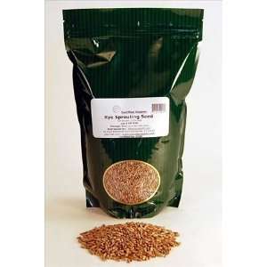   Bag   Rye Seed / Grains for Flour, Bread, Sprouting, Rye Grass & More