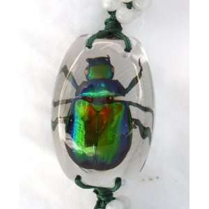  Clear Colorful Scarab Beetle Bracelet Toys & Games