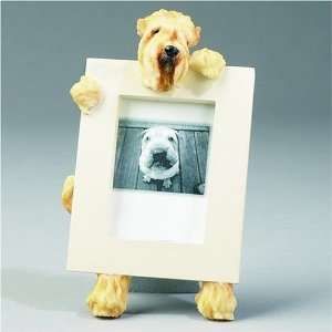  Soft Coated Wheaten Terrier Dog Picture Frame 2 1/2 X 3 1 