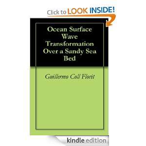 Ocean Surface Wave Transformation Over a Sandy Sea Bed Guillermo Coll 
