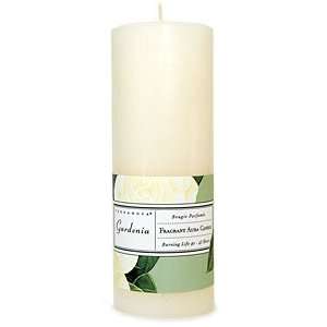 Terra Nova Gardenia Pillar Candle